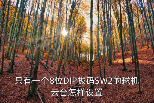 只有一個8位DIP拔碼SW2的球機云臺怎樣設置