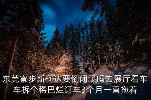 東莞寮步斯柯達要倒閉了嗎去展廳看車車拆個稀巴爛訂車3個月一直拖著