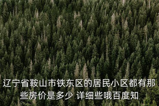遼寧省鞍山市鐵東區的居民小區都有那些房價是多少 詳細些哦百度知