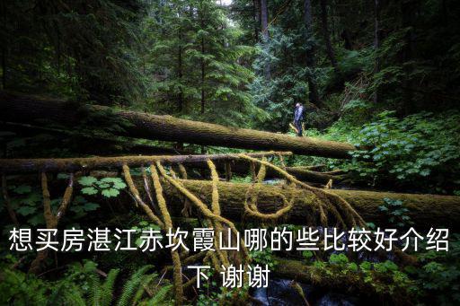 想買房湛江赤坎霞山哪的些比較好介紹下 謝謝