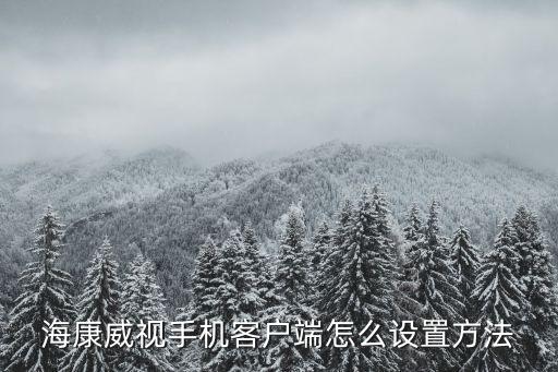 海康威視手機(jī)客戶端怎么設(shè)置方法