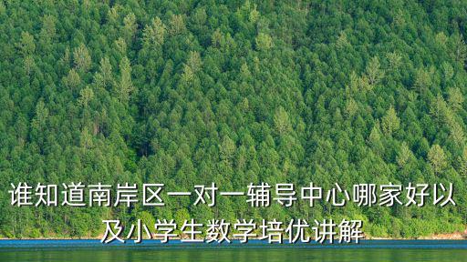 誰知道南岸區一對一輔導中心哪家好以及小學生數學培優講解