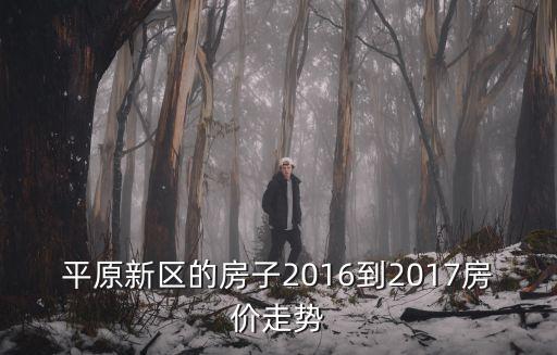 平原新區(qū)的房子2016到2017房價走勢