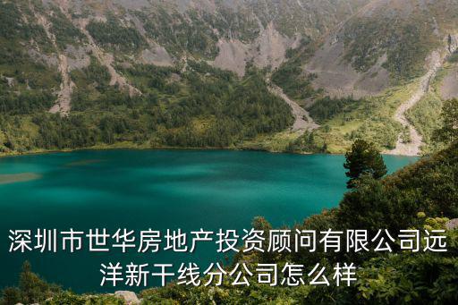 深圳市世華房地產投資顧問有限公司遠洋新干線分公司怎么樣