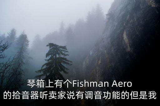 琴箱上有個Fishman Aero的拾音器聽賣家說有調(diào)音功能的但是我