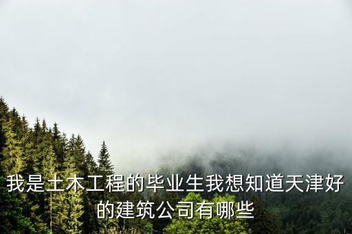 天津市土木工程排名，我是土木工程的畢業(yè)生我想知道天津好的建筑公司有哪些
