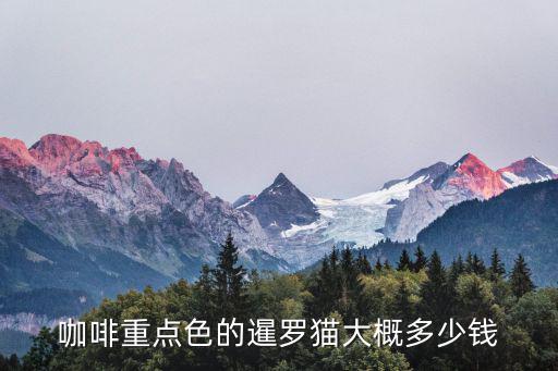 咖啡重點色的暹羅貓大概多少錢