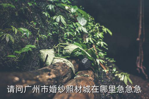 請問廣州市婚紗照材城在哪里急急急
