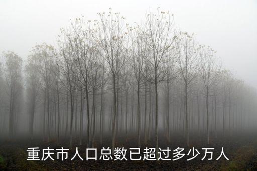 重慶市人口總數(shù)已超過多少萬人