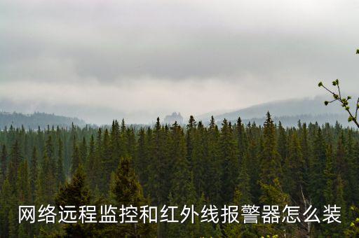 網絡遠程監控和紅外線報警器怎么裝