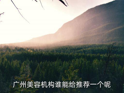 廣州美容機(jī)構(gòu)誰能給推薦一個(gè)呢