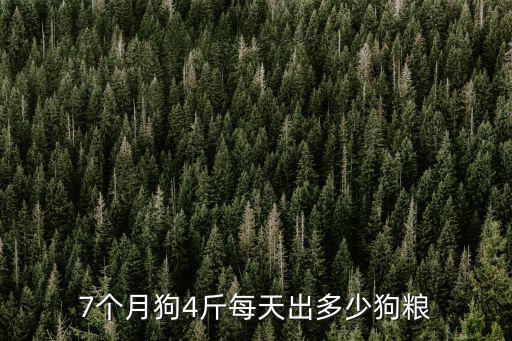 7個月狗4斤每天出多少狗糧
