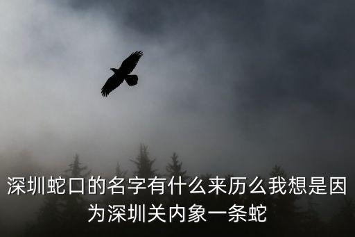 大年初一深圳蛇口，深圳蛇口的名字有什么來歷么我想是因為深圳關(guān)內(nèi)象一條蛇