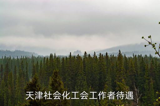 天津社會化工會工作者待遇