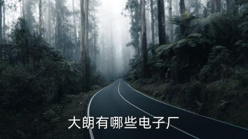 大朗有哪些電子廠