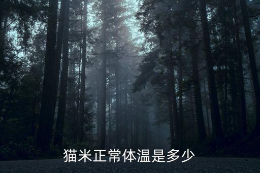 貓米正常體溫是多少