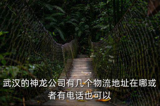 武漢的神龍公司有幾個物流地址在哪或者有電話也可以