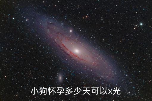 小狗懷孕多少天可以x光