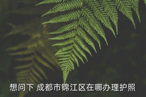 想問下 成都市錦江區(qū)在哪辦理護照