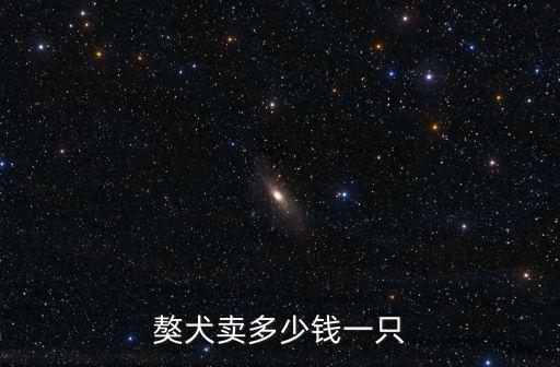 英國敖犬多少錢，英獒犬多少錢一只