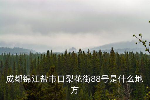 成都錦江鹽市口梨花街88號是什么地方
