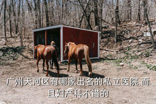 廣州天河區(qū)有哪家出名的私立醫(yī)院 而且婦產(chǎn)科不錯(cuò)的