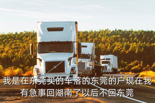 東莞車輛轉籍代理，河南牌照的車在東莞能在東莞代辦過戶到河南戶口嗎