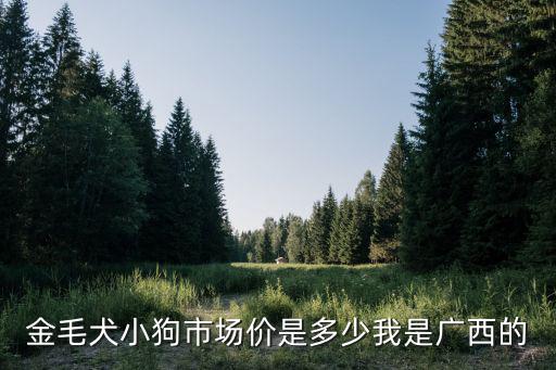 金毛犬小狗市場價是多少我是廣西的