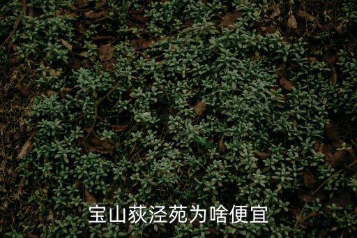 寶山荻涇苑為啥便宜