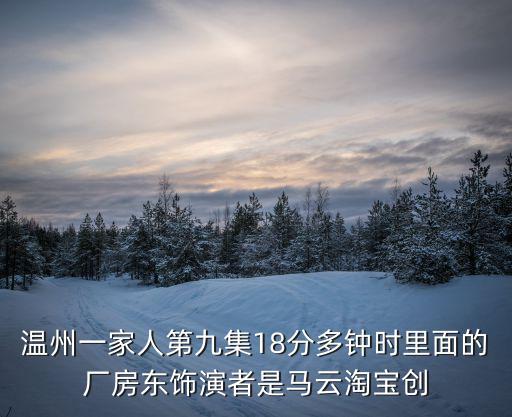 溫州一家人第九集18分多鐘時里面的廠房東飾演者是馬云淘寶創