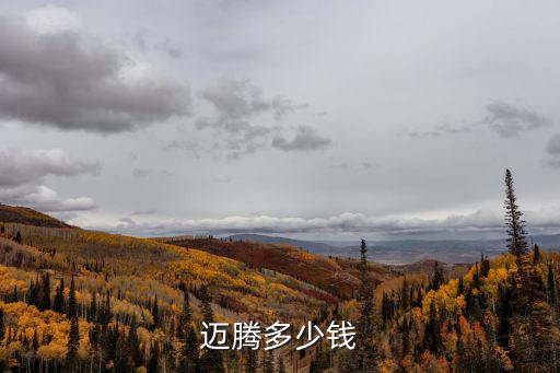 邁騰多少錢