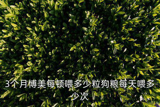 3個月博美每頓喂多少粒狗糧每天喂多少次