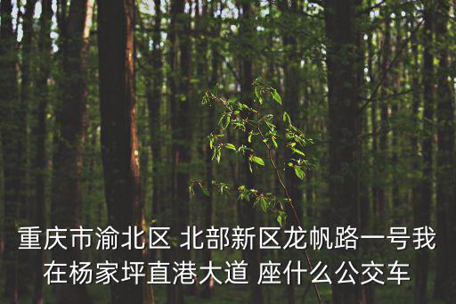 重慶市渝北區 北部新區龍帆路一號我在楊家坪直港大道 座什么公交車