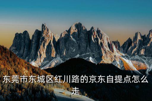 東莞市東城區紅川路的京東自提點怎么走