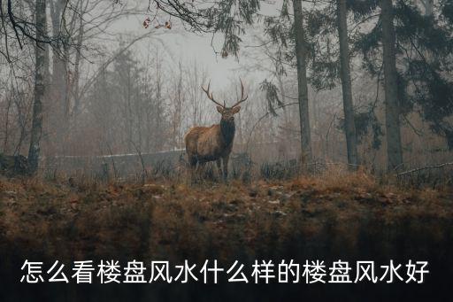 怎么看樓盤風水什么樣的樓盤風水好