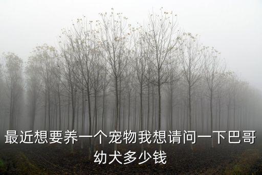 最近想要養(yǎng)一個(gè)寵物我想請(qǐng)問一下巴哥幼犬多少錢