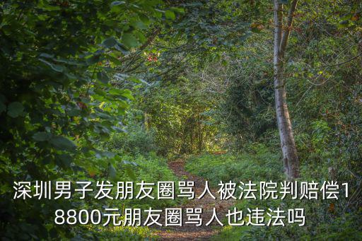 深圳男子發(fā)朋友圈罵人被法院判賠償18800元朋友圈罵人也違法嗎