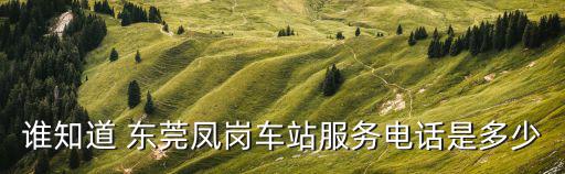 誰知道 東莞鳳崗車站服務(wù)電話是多少