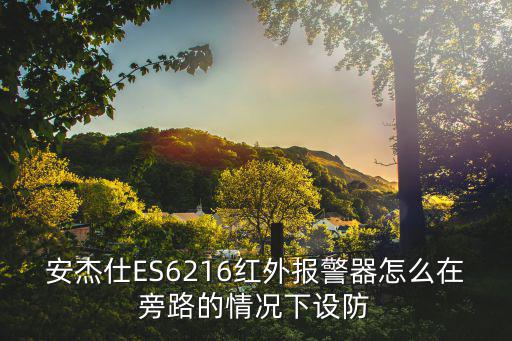 安杰仕ES6216紅外報(bào)警器怎么在旁路的情況下設(shè)防