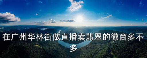 廣州翠雅閣翡翠微商，廣州本田八代雅閣24 EX Nani真實蠔油量是是很大