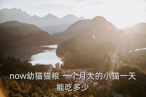 四個月大的小貓一頓吃多少錢，now幼貓貓糧 一個月大的小貓一天能吃多少