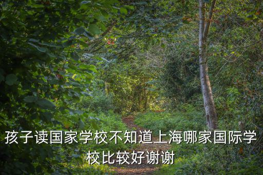 孩子讀國家學校不知道上海哪家國際學校比較好謝謝