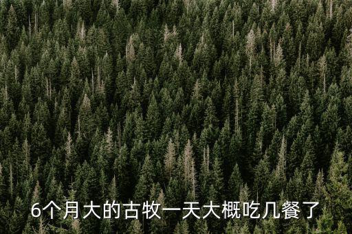 6個月大的古牧一天大概吃幾餐了
