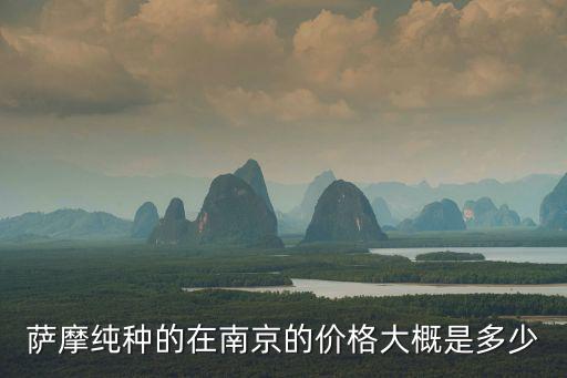 薩摩純種的在南京的價(jià)格大概是多少
