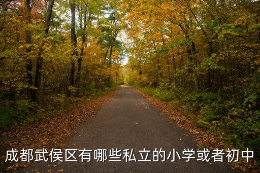 成都武侯區有哪些私立的小學或者初中