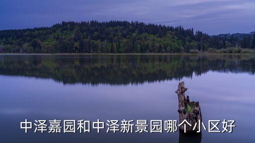 中澤嘉園和中澤新景園哪個(gè)小區(qū)好