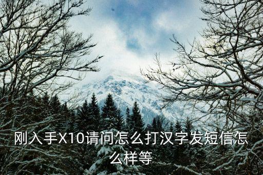 剛入手X10請問怎么打漢字發短信怎么樣等