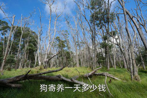 狗寄養一天多少錢