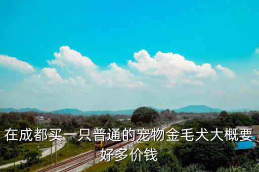 在成都買一只普通的寵物金毛犬大概要好多價錢