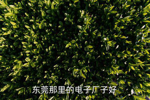 東莞那里的電子廠子好